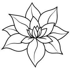    Flower vector illustration with line art.
