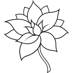    Flower vector illustration with line art.
