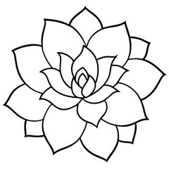    Flower vector illustration with line art.
