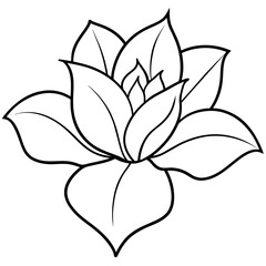    Flower vector illustration with line art.
