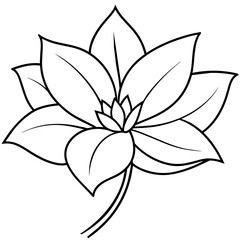    Flower vector illustration with line art.
