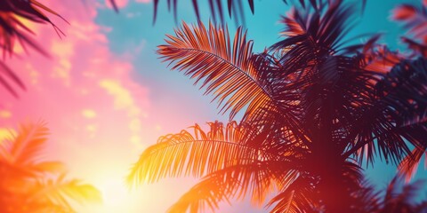 Obraz premium Tropical sunset with palm tree silhouettes and vivid pink and blue sky. Copy space.