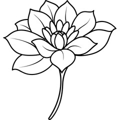    Flower vector illustration with line art.
