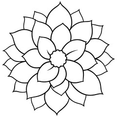    Flower vector illustration.
