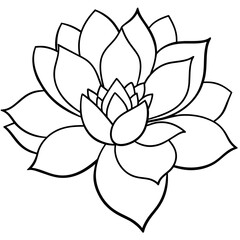    Flower vector illustration.
