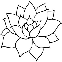    Flower vector illustration.
