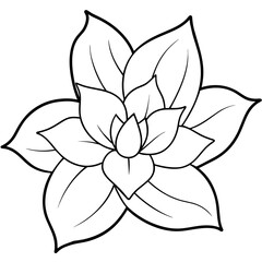    Flower vector illustration.
