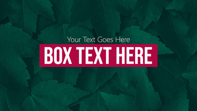 Box Text with Animation Presets