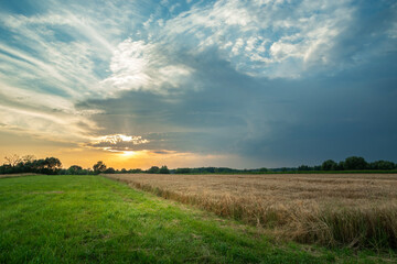 Dark rain cloud over the fields, summer view