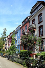 Fototapeta na wymiar Gießenstraße in Freiburg im Frühling