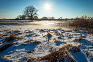 Sun over winter meadow, February day