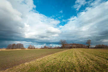 Dark rainy clouds over field and meadow, February day