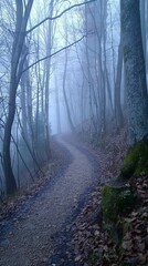 Naklejka premium A mysterious forest path shrouded in fog, where every step uncovers unknown wonders and challenges
