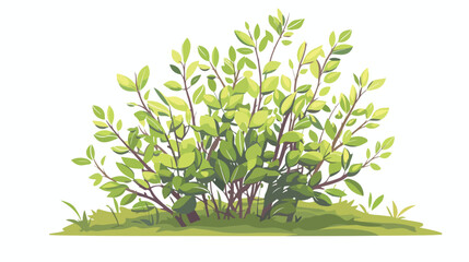 Young bush with leaves. Vector illustration