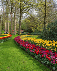 Keukenhof Tulip Garden