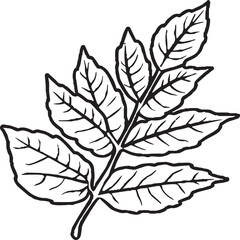 Leaf coloring pages. Leaf outline for coloring book