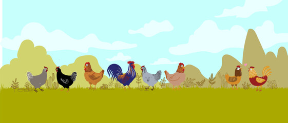 Set of chicken, hen, rooster cartoon domestic poultry farm animal collection.