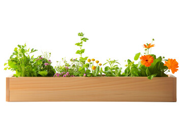 Assorted Fresh Herbs and Flowers in Wooden Planter Isolated on White