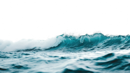 ocean wave on white background