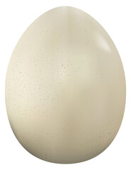 Photorealistic ostrich egg in the style of 3D realism. Vector illustration of ostrich egg isolated on white background