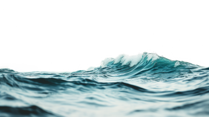 ocean wave on white background
