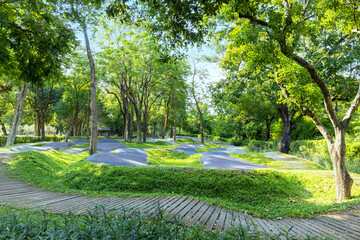 Scenic view of the park with sidewalk. New pathway for cycling relax in the park that is suitable for children