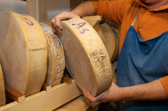 Valtellina Food Bitto cheese seasoning for the production of Valtellina pizzoccheri