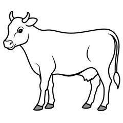   cat vector illustration.
