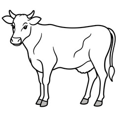   cat vector illustration.
