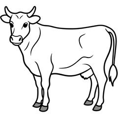   cat vector illustration.
