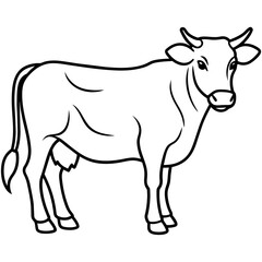   cat vector illustration.
