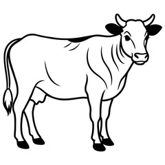   cat vector illustration.
