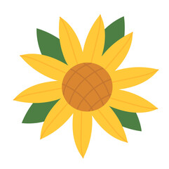 Yellow Sunflower with leaves in full blooming. Botanical Vector flat illustration. Perfect for cards, logo, decorations, spring and summer designs.
