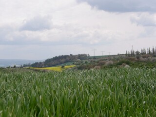 Wanderung bei Wipperdorf