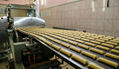 Mass production of bread rolls in an industrial bakery conveyor belt