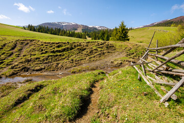 carpathian countryside scenery in spring on a sunny morning. mountainous rural landscape of ukraine with broken wooden fence. fir forest on the grassy hill in the distance