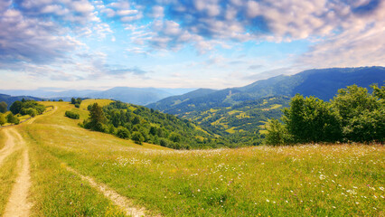 Fototapeta na wymiar dirt road through grassy meadow. rural landscape in mountains. outdoor recreation in summer. travel ukraine