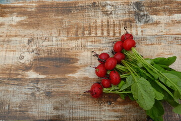 fresh harvest of freshly harvested organic radishes on wooden board