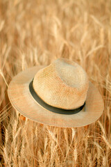 A hat with a large brim lies on a wheat field.
