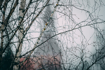 A tree without leaves and the Simanis Church of Valmiera in the fog.