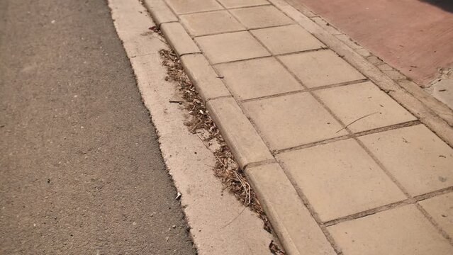 The video was taken from the top of the clay tile paving along the road.