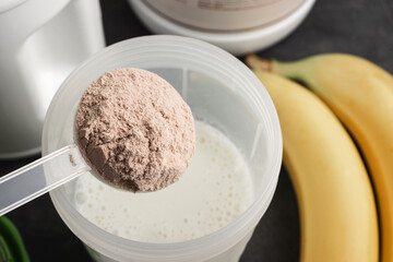 Plastic measuring spoon puts whey protein powder into a shaker with milk on a dark background with bananas, process of making healthy protein drink