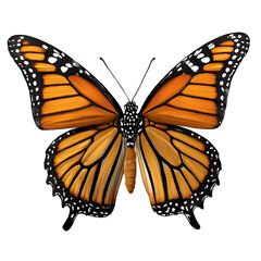 Vividly colored Monarch butterfly, showcasing its detailed wing patterns and natural beauty, isolated against a pure white background, png.