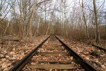 Steam train in the woods, abandoned tracks 