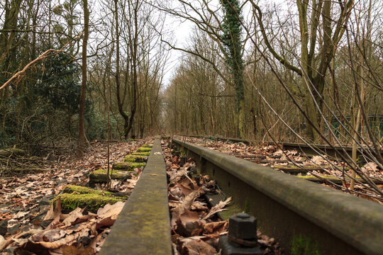Steam train in the woods, abandoned tracks 
