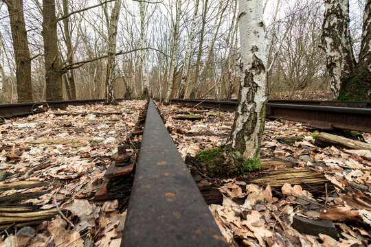 Steam train in the woods, abandoned tracks 