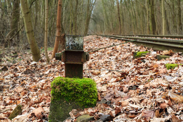 Steam train in the woods, abandoned tracks 