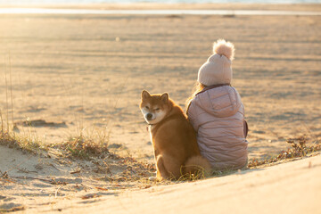A young girl with a dog in nature. Kid girl sitting with a shiba inu dog on the beach at sunset in Greece in winter - 784626586