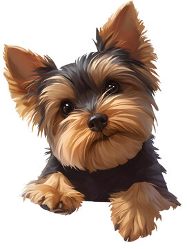 The smiling yorkie dog. Isolated puppy Mascot on  transparent background for dog grooming and spa service design, kid's book and game illustration.