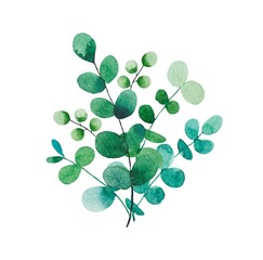 Bouquet of watercolor foliage. Eucalyptus branches. Hand drawn botanical illustration isolated on white background.